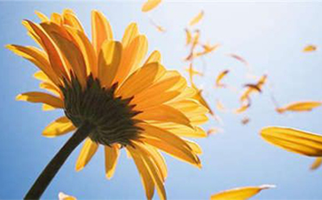 宁波什么医院治疗白癜风好老年白癜风应该怎么预防